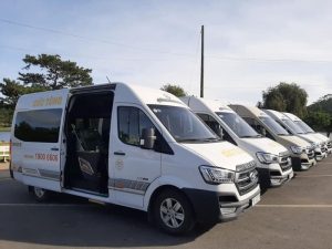 Cúc Tùng Limousine