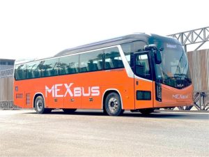 Xe MexBus Limousine