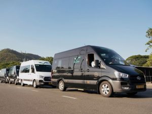 Xe Vie Limousine